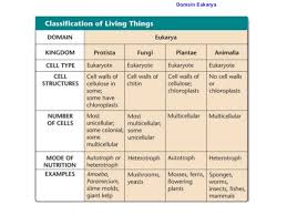 Chapter 18 Classification Of Life