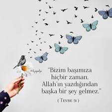 Goruntunun Olasi Icerigi Kus Ve Yazi Ilham Veren Alintilar Ilham Veren Sozler Ozlu Sozler
