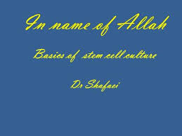 Check spelling or type a new query. Cell Culture Media And Supplements Ppt Download