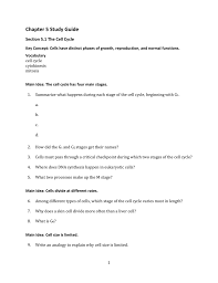 What happens in all the stages c. Chapter 5 Study Guides