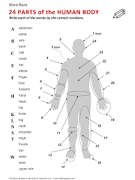 Body English Learning English Vocabulary Esl English Phrases Http Www Allthingstopics Com Bo English Vocabulary English Language Teaching Learn English