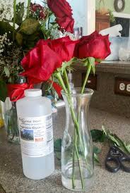 Preserving the flower with glycerin by using glycerin, your flower will not dry out, keeping its graceful and lively form. Preserving Flowers With Glycerin How To Preserve Flowers Hello Lidy