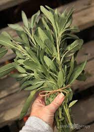 Maybe you would like to learn more about one of these? Burn Herbs In Your Campfire To Repel Mosquitoes Naturally