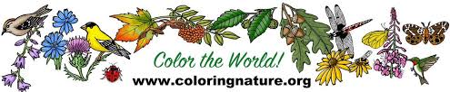 By best coloring pagesjune 13th 2016. Coloring Nature Free Printable Coloring Pages