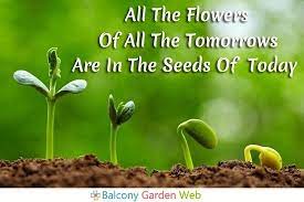 47 Beautiful Garden Quotes Garden Quotes Beautiful Gardens Balcony Garden