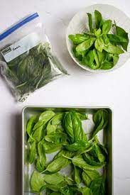 Your frozen basil will be good for up to a 1 year. How To Freeze Basil The Easiest Way Champagne Tastes