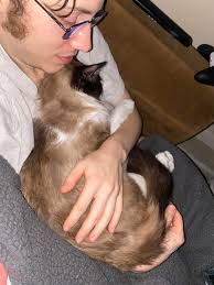 Silky came up to get love from his father who is often busy. Beautiful  Sunday