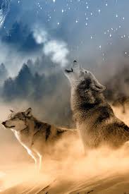 4k ultra hd weltraum wallpaper. Art 2 Wolfe Heulen Den Mond An Wolf Art Den Heulen Mond Wolf Wolfe Ausgestopftes Tier Wolf Hunde Wilde Tiere