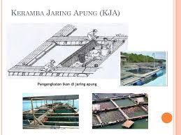 Wadah Budidaya Ikan Konsumsi Ppt Infoakuakultur Com