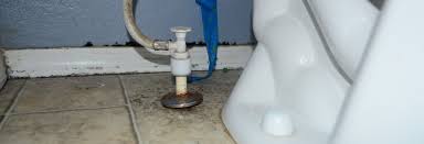 Take care of leaks under the sink or by the toilet as soon as you notice them. Bathroom Mold How To Identify And Get Rid Of Mold In Bathroom Environix