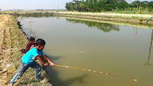 We did not find results for: Best Fishing Video Kids Fishing By Daily Village Life Part 22 Fishing Videos Kids Fishing Best Fishing