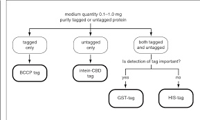 figure 9 9 from overview of affinity tags for protein