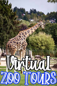 Do The Kids Love Going To The Zoo And Learning About Animals Then These Virtual Zoo Tours Are Pe In 2020 Virtual Field Trips Elementary Field Trip Virtual Field Trips