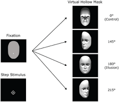 The subtle lighting (included) and the subsequent shadows add to the effect and deceive the brain. Where Do The Eyes Really Go In The Hollow Face Illusion