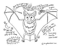 This Is A Fun Facts About Bats Coloring Page Hand Drawn By Marydean Draws Included 1 Pdf Of This 8 5x11 Coloring Pa Bat Facts Bat Coloring Pages Animal Study
