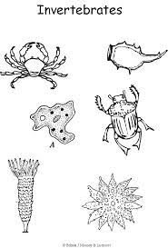 Insect coloring pages preschool coloring pages coloring pages for kids coloring sheets classes of vertebrates. Electric Rotary Engraving Tool 24w Adjustable Speed Polisher With 10pcs Rotary Accessory Kit Grinding Cleaning Tool Kit Walmart Com In 2021 Classical Conversations Life Science Activities Animal Classification