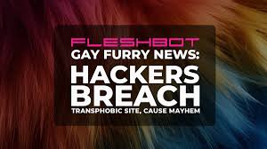 Fleshbot Powered by Cybersocket (@FleshbotGay)  X