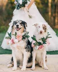 All it takes is a few snips using an inexpensive pair of wire cutters and you've got a bunch of individual flower stems to arrange in no time. 10 Things To Consider If You Re Using Silk Flowers For Your Wedding Ruffled