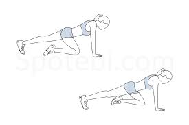 Free for commercial use no attribution required high quality images. Mountain Climbers Illustrated Exercise Guide Workout Guide Spotebi Workout Exercise
