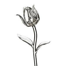 Shop the stunning range today. Waterford Fleurology Flowers Tulip A Stunning Glass Tulip Flower Is A Great Companion To Any Vase 35 00 Waterford Crystal Glass Flowers Tulip Decor