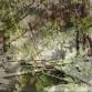 A Ground Exploration: Unearthing in a Frame — Public Space One