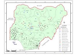 Image result for Agelanthus djurensis