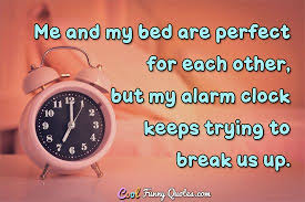 Funny Quote Funny Quotes Funny Quotes About Life Fun Quotes Funny