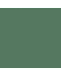 Image result for Laurel Green 1962 Nova