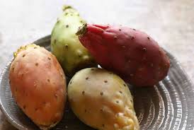 You can learn how to cook gourmet tasting food, to rival the restaurants, right in your own home! Prickly Pears How To Eat Them What To Do With Them Tried Supplied