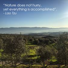 Retrieve your liberty mutual insurance quote here. Tuscan Fitness Quote Nature 1 Tuscan Fitness Yoga Retreat And Health Holidays In Tuscany Italy