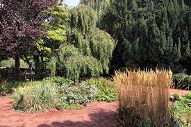 Die gewächshäuser sind wieder geöffnet! Ausflugstipp Botanischer Garten Und Schonwasserpark In Krefeld Dusseldorf