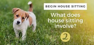 Compare the market is here to help. What Is House Sitting And What Do House Sitters Do June 2021