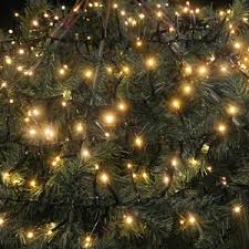 Maybe you would like to learn more about one of these? Tree Lights Buying Guide Home Store More