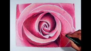 Imagine replicating your flowers in the form of flower drawings! Drawing Realistic Flower Drawing Colour Pencil