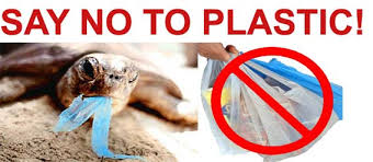 Image result for plastic