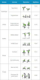 Programme Musculation Debutant Espace Musculation Com Musculation Pour Debutant Programme Musculation Programme Musculation Homme