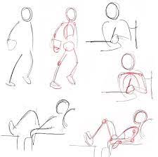 Select from 19,177 premium anatomical drawing of the highest quality. Human Anatomy Fundamentals Basic Body Proportions