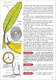 Animaux Et Plantes Des Pays Tropicaux Lecons De Choses Et Exercices D Observation Cm Nathan 1963 Lecon De Choses Plante Jardin Therapeutique