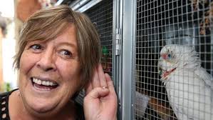 Pretty polly waits for secret words