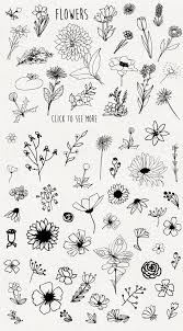 Only Flowers Flower Sketches Floral Drawing Flower Drawing