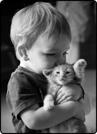 Tierna Escena Amor Sincero Cute Adorable Gatos Cat Mascotas Pets Gatos Fotos Con Gatos Animales Bebes