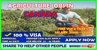 Agriculture Jobs In Canada Apply Now Agriculture Jobs How To Apply Job