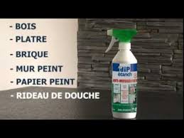 Produit anti moisissure leroy merlin. Comment Traiter Facilement Les Murs Taches Par Les Moisissures Youtube