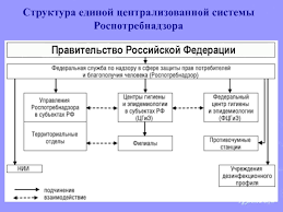 О примерной структуре управлений роспотребнадзора по субъектам российской федерации. Organizacionno Pravovye Osnovy Deyatelnosti Sluzhby Po Nadzoru V Sfere Zashity Prav Potrebitelej I Blagopoluchiya Cheloveka Prezentaciya Doklad