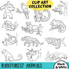Check spelling or type a new query. Rainforest Animals Clip Art Collection By Keepinitkawaii Tpt