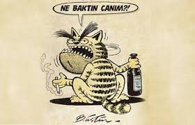 Sarhos Kedi Uludag Sozluk