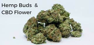 Picking out a cbd hemp flower strain is just as exciting as deciding on a pair of jeans to buy, or the another cbd flower with a strong potency is the pineberry hemp strain. Best Cbd Hemp Flower Premium Brands For Sale Happy Hemp