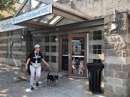 Check spelling or type a new query. Nyc Animal Care Center Nycacc The Canine Review