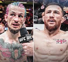 who wins in a fight between two 135 pound competitors?