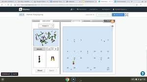 Student exploration human karyotyping gizmo answer key shows the amount of misconceptions are mixed together. Human Karyotyping Gizmo Youtube